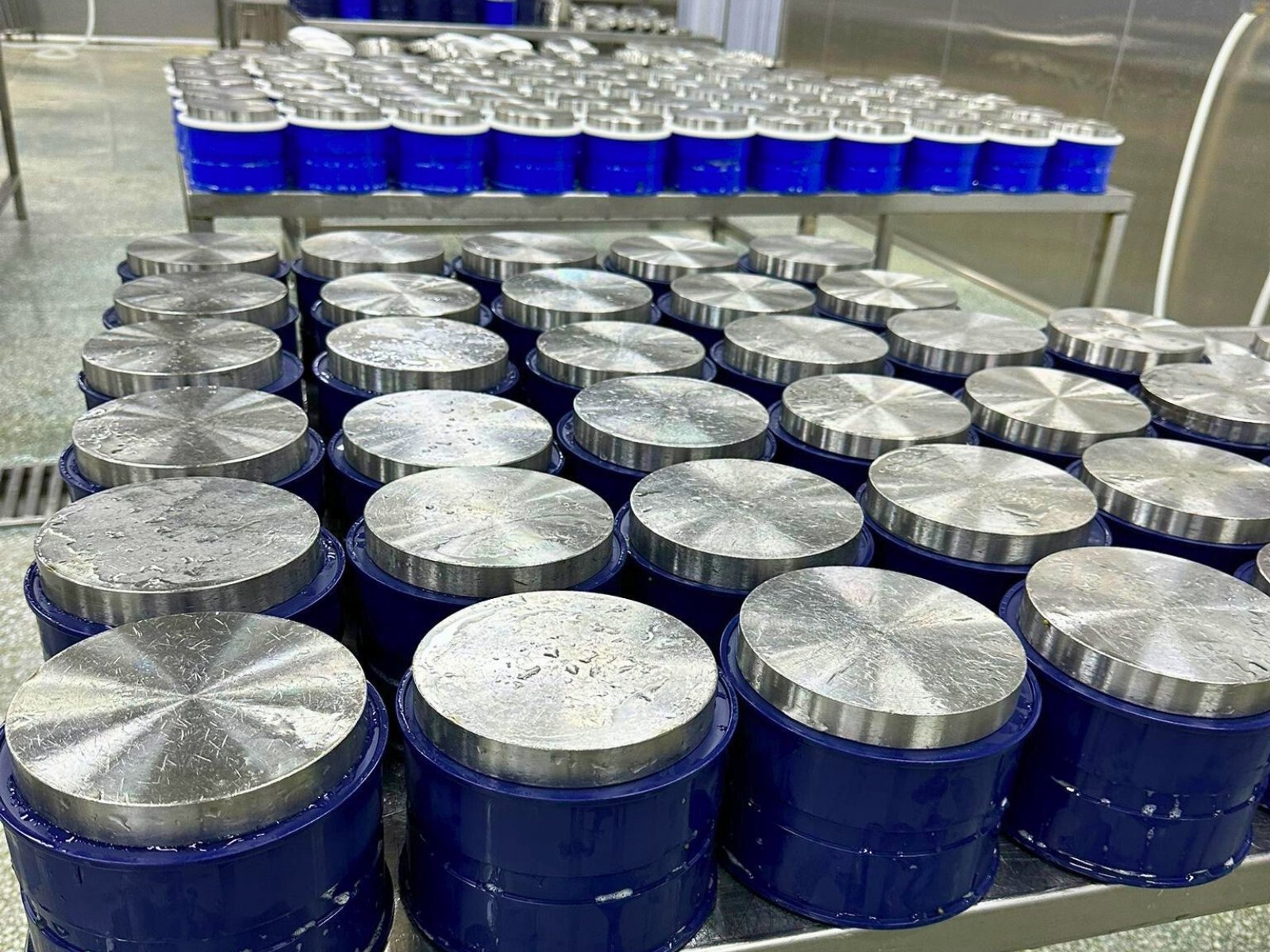 Caviar cold-chain facility London — SALSA certified storage for wholesale caviar supply Caviar cold-chain facility London — SALSA certified storage for wholesale caviar supply