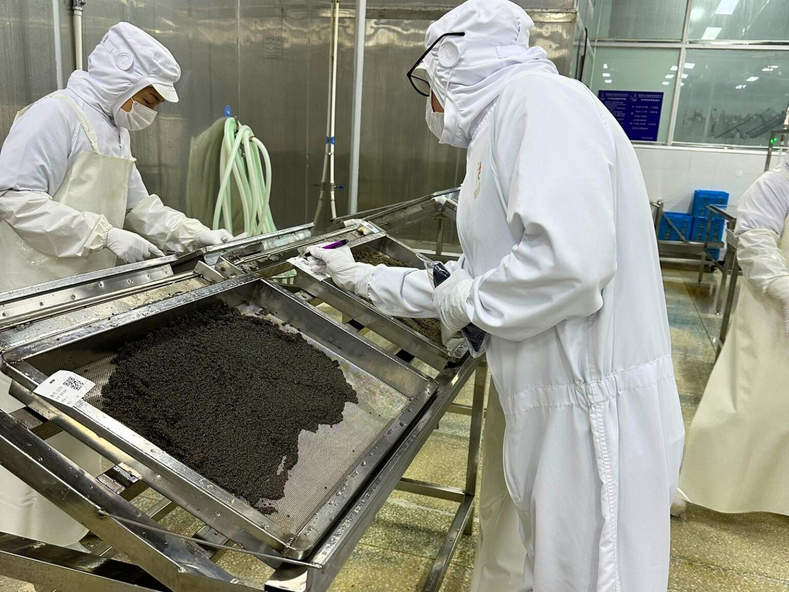 Beluga caviar London — premium wholesale supplier of sturgeon caviar in the UK Beluga caviar London — premium wholesale supplier of sturgeon caviar in the UK