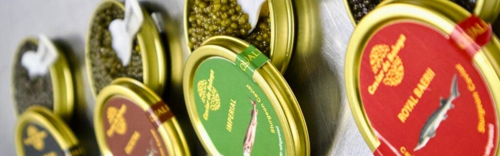 Royal Beluga caviar tin — luxury sturgeon caviar from Beluga Farms London Royal Beluga caviar tin — luxury sturgeon caviar from Beluga Farms London