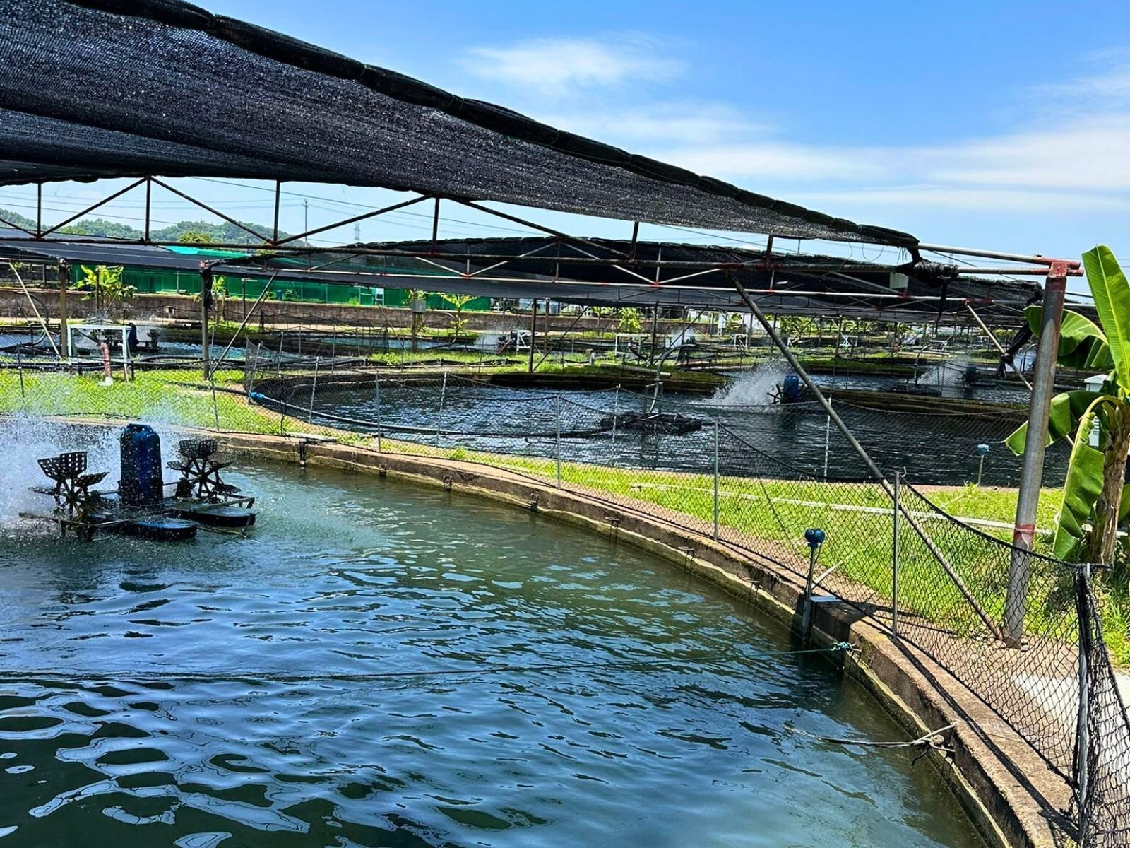 Beluga Farms facility — importer and distributor of Beluga, Oscietra and Imperial caviar